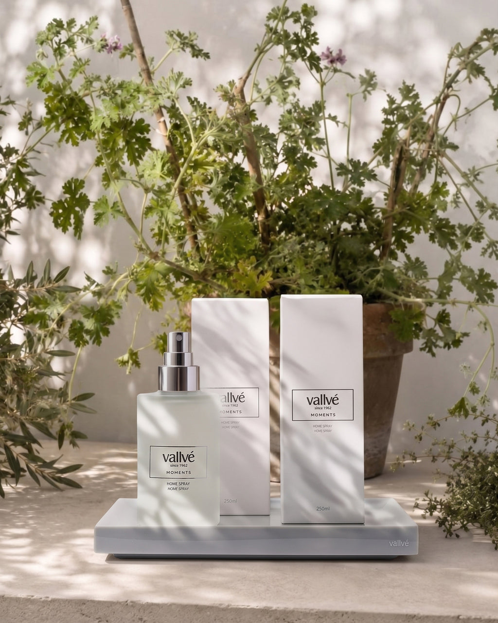 Home Spray