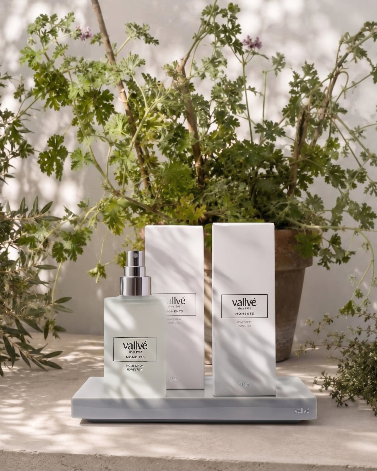 Home Spray